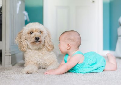 Quel revêtement de sol choisir quand on a des animaux de compagnie ?
